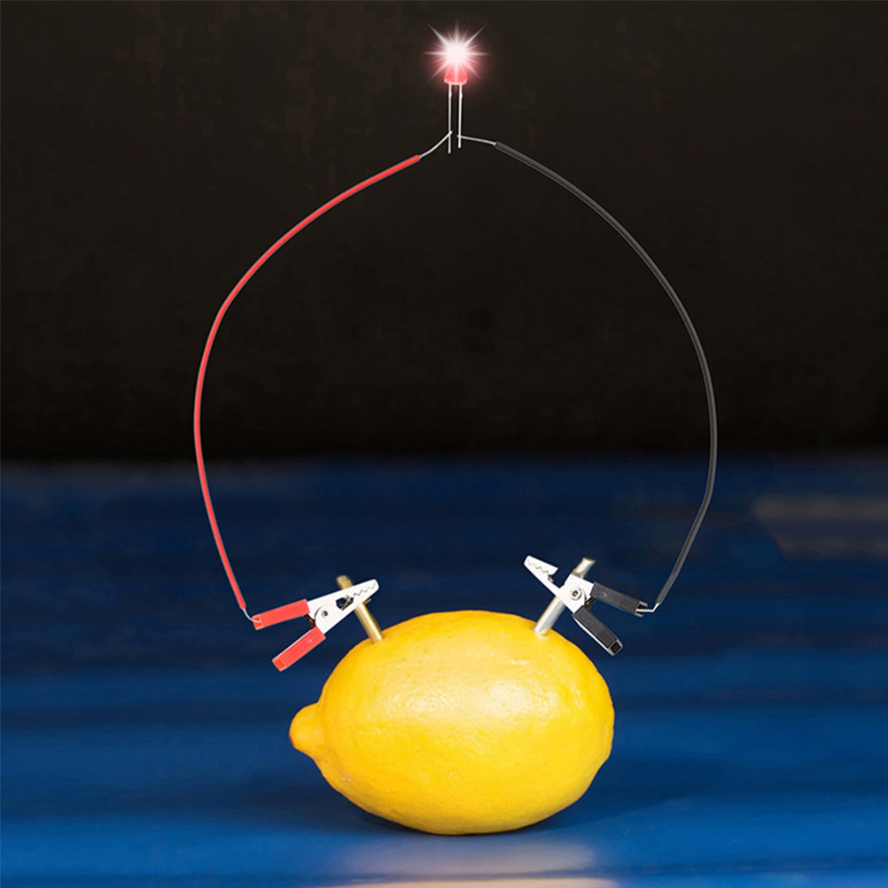 1Set Fruit Battery Science Exp - مراجعة Science Project Physics وسعره