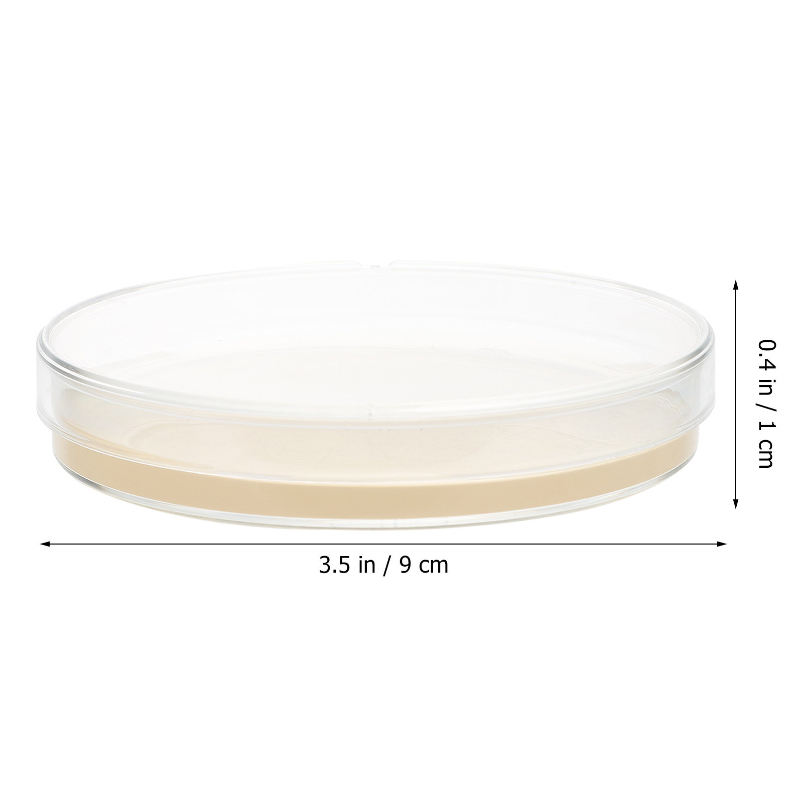 10pcs Nutrient Agar Plates Pre - مراجعة Science Project وسعره